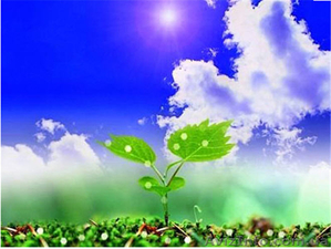 КАЧЕСТВЕННЫЕ СРЕДСТВА ЗАЩИТЫ РАСТЕНИЙ!!! #981761