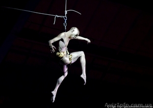 Репортажная фотосъемка                           #899621