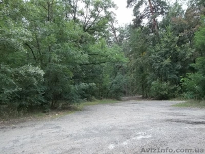 Если уж земля - то в Пуще-Водице #974911