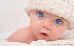 Установка блокирующих замков на м/п окна #984333