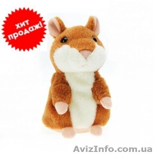 Говорящий хомяк который покорил интернет,  теперь доступен и в Запорожье #968906