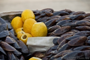 Продам свежие живые Мидии #972812