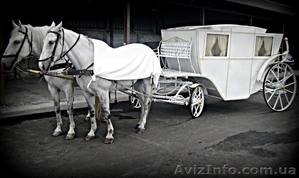 Аренда авто для ваших мероприятий #977816