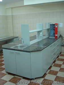 Лабораторная мебель #983367