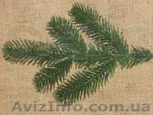 Продам искусственные ветки ели и хвои #985300
