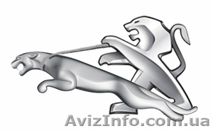Razborka Peugeot-206.307-407.Разборка Пежо-206-307.407 #977728