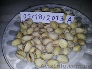 Фисташки,  орехи #981658
