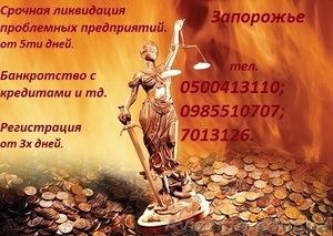Услуги в юр. сфере #981984