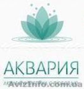 Аквария - интернет-салон аквариумистики #976531