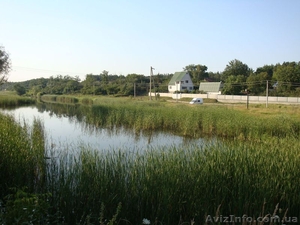 Посуточно сдам дачу в лесу (г Украинка) #982374