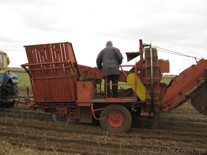 продам картофельноуборочний комбайн Grimme #977312
