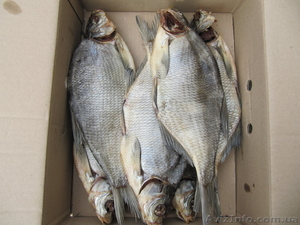 Продам лещ вяленный #977913