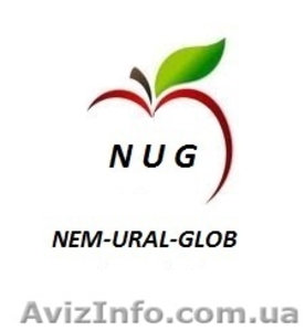 Прямые поставки яблока производства Польша #976958
