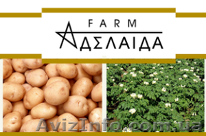 Главный инженер #976521