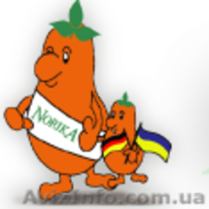 Лучшие семена картофеля для каждого региона Украины #984258