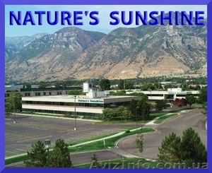 Бизнес-предложение NSP  #975987