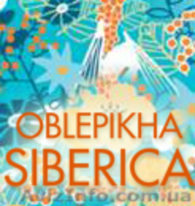 Ламинирование в домашних условиях! Облепиха Сиберика! #981037
