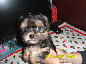 Девочки-припевочки #983871