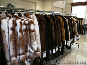 За ШУБАМИ  в Грецию! #971002