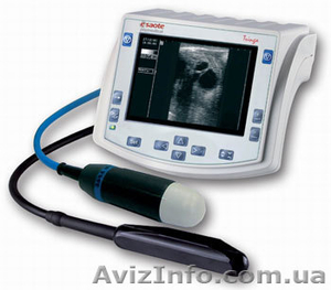 Ультразвуковой аппарат Tringa VET #977973