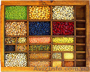 Закупаем рапс,  сою,  подсолнечник,  ячмень,  пшеница,  овес,  кукуруза,  гречка,  просо #969440