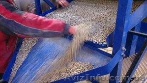 Яхта или бизнес #998477