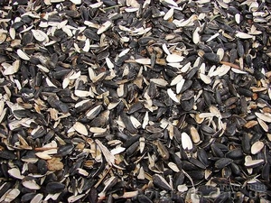 отходы подсолнечника #990689