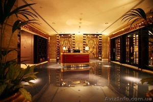 Работа в элитном салоне красоты Posh by Feryal в Абу-Даби! #1000185