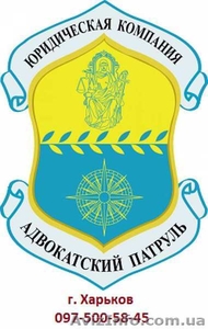 Адвокаты,  юристы #989587