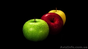 SEO Sprint - Развиваемся Вместе #986432