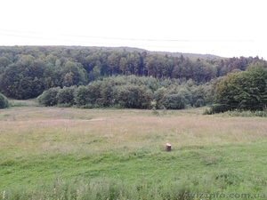 Продам участок в Карпатах - Пистынь,  50 соток #998275