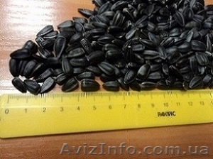 семечка кондитерская цена производителя #994540