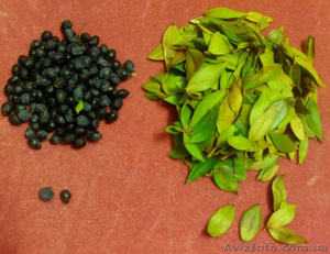 Ягода мирта и листья мирт. #1000996