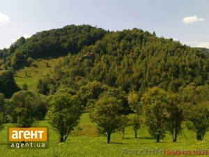 ПродамЗемлю  в Карпатах(Ямельниця) #996349