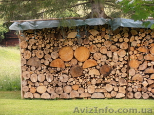 Дрова по Донецку #988071