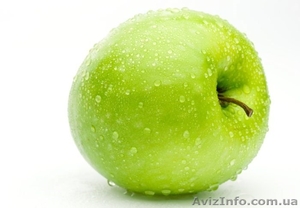 Отдушки оптом и в розницу от 1 литра #986721