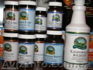 nsp нсп в Одессе #985962