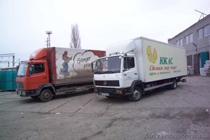 Утилизация опасных отходов.Разработка экологической документации #928882