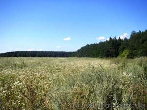 Продам участок 2 га  под строительство в Березовке 17 км от Киева по Житомирской #997083