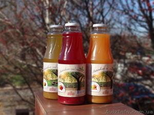 Соки Райський Сад Справжній смак⁪⁭ #994453