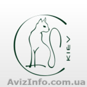 Кейтеринг в Киеве #995068