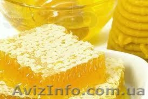 мед-семейная пасека #994859