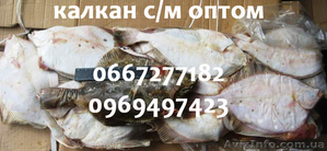 Калкан (камбала черноморская) оптом #987694