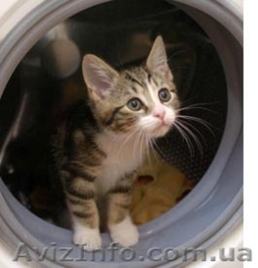 Ремонт стиральных машин автомат на дому у заказчика По Харькову. #986026