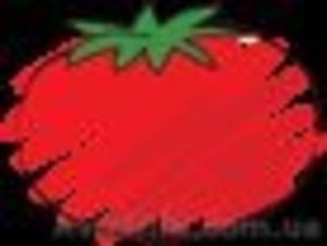 Интернет-магазин Синьор Помидор #1000414