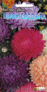 семена астр в ассортименте #988672