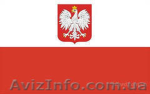 Курсы польского  языка вместе с учебным центром «Фурор»! #993594