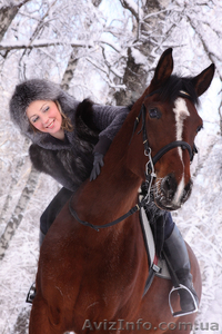 Волшебство под новый год! Подарочные сертификаты на конные прогулки и уроки! #994149