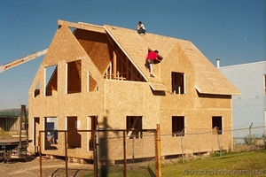 Плита OSB украинская #1002792