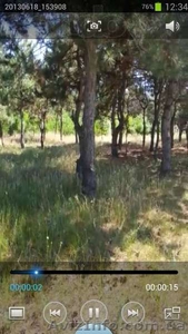 Участок в лесу площадью 30 соток #1004155